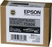 Epson C13T580900 фото