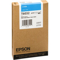 Epson C13T603200