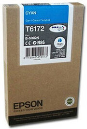 Epson C13T617200 фото