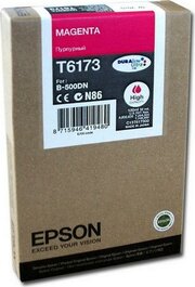 Epson C13T617300 фото