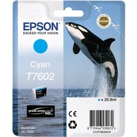 Epson C13T76024010