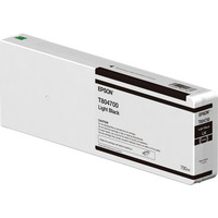 Epson C13T804700