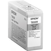 Epson C13T850900 фото