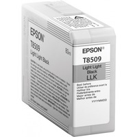 Epson C13T850900