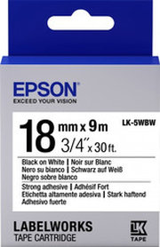 Epson C53S655012 фото