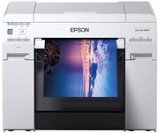 Epson SureLab SL-D800 фото