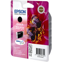 Epson T0731