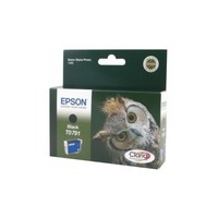 Epson T0791