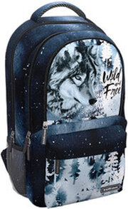 Erich Krause ActiveLine Ergoback 22L Timber Wolf 60148 фото