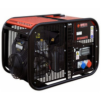 EUROPOWER EP20000TE (B&S)