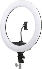 Falcon Eyes BeautyLight 450R LED фото