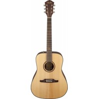 Fender F-1000 Dreadnought Natural