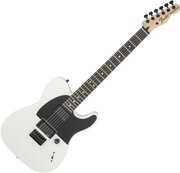 Fender Jim Root Telecaster фото