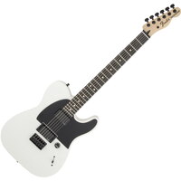 Fender Jim Root Telecaster