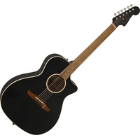 Fender Newporter Special