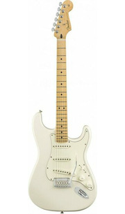 Fender PLAYER STRAT MN PWT фото