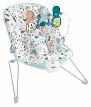 Fisher-Price GWD38 фото