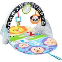 Fisher-Price Newborn Toys 2 в 1 FXC14