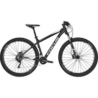 Focus WHISTLER LITE 29 (2018)