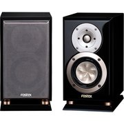 Fostex GX100Limited фото