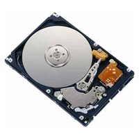 Fujitsu S26361-F3701-L500 500 GB