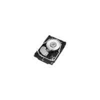 Fujitsu S26361-F4005-L545 450 GB