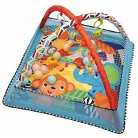 Funkids Play Ground Gym (CC9038)