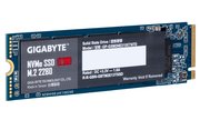 Gigabyte GP-GSM2NE3100TNTD фото