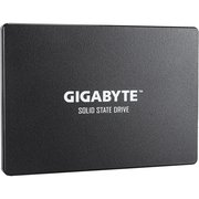 Gigabyte GP-GSTFS31100TNTD фото