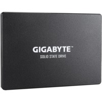 Gigabyte GP-GSTFS31100TNTD