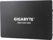 Gigabyte GP-GSTFS31120GNTD фото