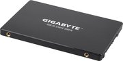 Gigabyte GP-GSTFS31256GTND фото