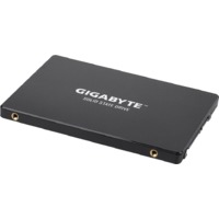 Gigabyte GP-GSTFS31256GTND