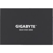 Gigabyte GSTFS30256GTTD фото