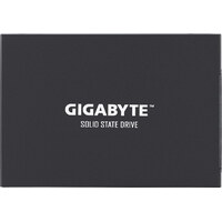 Gigabyte UD PRO SSD GP-UDPRO256G