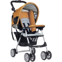 Graco CitiSport