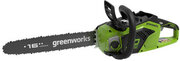 Greenworks 2005807USB2 фото