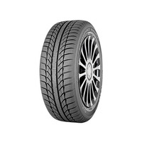 Gt radial Champiro WinterPro