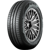 Gt radial FE2