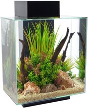 HAGEN Fluval Edge фото