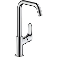 Hansgrohe Focus 31519000