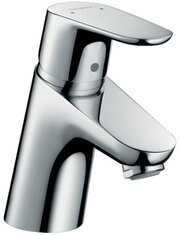 Hansgrohe Focus 31604000 фото