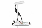 Haswing Cayman B with GPS 12V-55Lbs фото