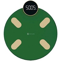 Haylou Smart Body Fat Scale