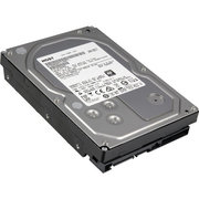 Hitachi Deskstar NAS H3IKNAS400012872SWW 4TB фото