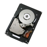 Hitachi DF-F800-AVE1K.P 1TB