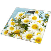 Home Element HE-SC906 Camomile Field фото