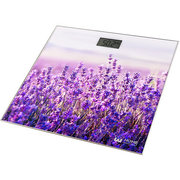 Home Element HE-SC906 Lavanda фото