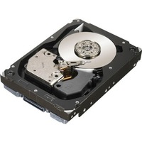 Hp 403209-001 300GB