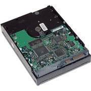 HP 411276-B21 250 GB фото